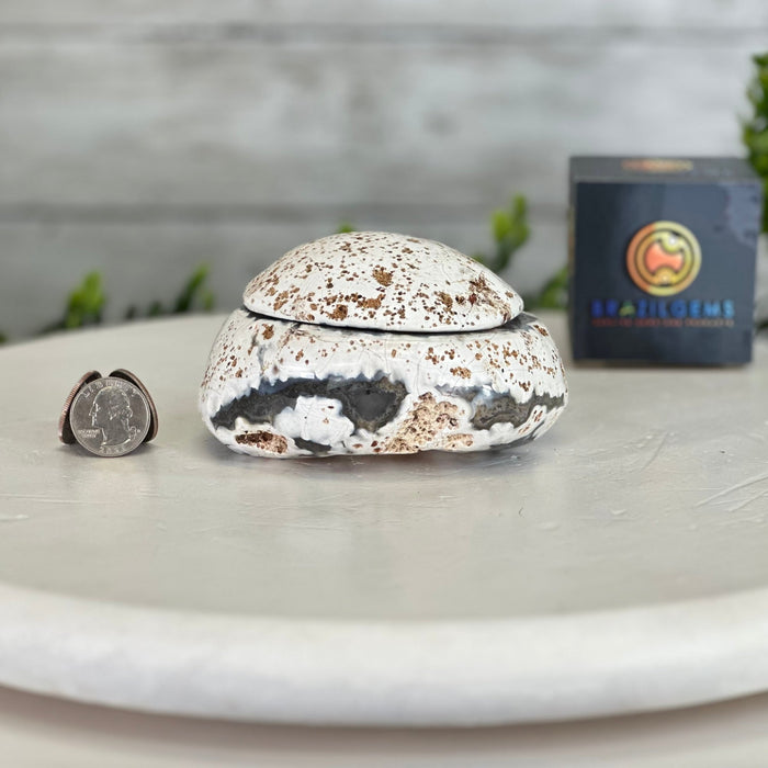 Quality Agate Geode "Jewelry Box", 1.7 lbs & 2.7" Tall #5251-0004 - Brazil GemsBrazil GemsQuality Agate Geode "Jewelry Box", 1.7 lbs & 2.7" Tall #5251-0004Agate Jewelry Boxes5251-0004