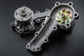 REIMAX High Flow Water Pump - Skyline BNR32 BCNR33 BNR34 ##149121045