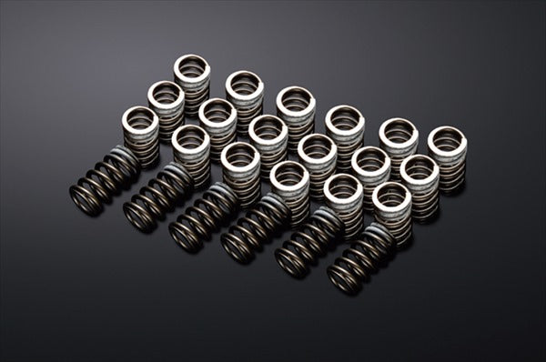 REIMAX Valve Spring Set - Skyline BNR32 BCNR33 BNR34