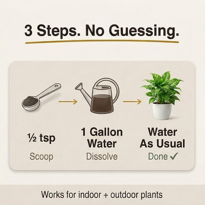 Rootvive – Mineral Source Soil Activator for Healthier Plants