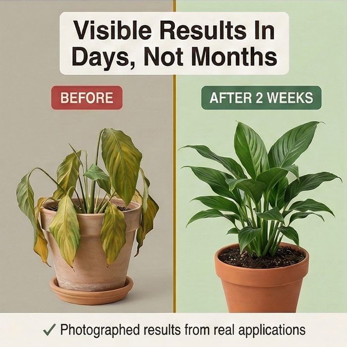 Rootvive – Mineral Source Soil Activator for Healthier Plants