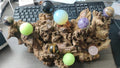 S16-20220209-ZOE