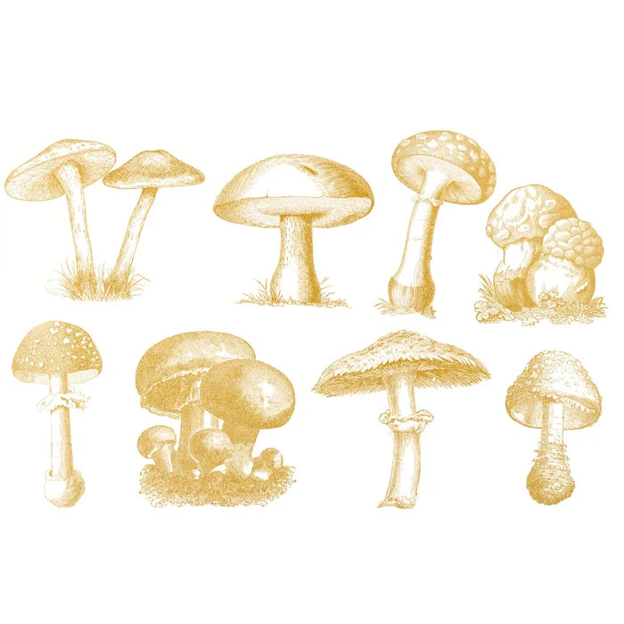 Sanbao Overglaze Wild Mushroom