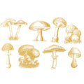 Sanbao Overglaze Wild Mushroom