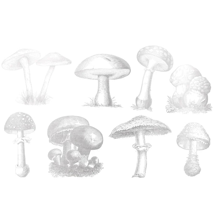 Sanbao Overglaze Wild Mushroom
