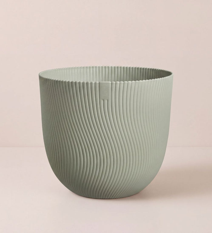 Sereh Pot